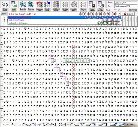 Torah Code matrix: Equi Torah Code Ruff