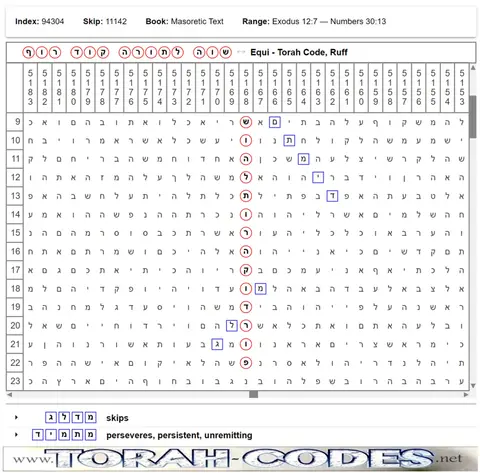 Torah Code matrix: EquiTorah Code Ruff