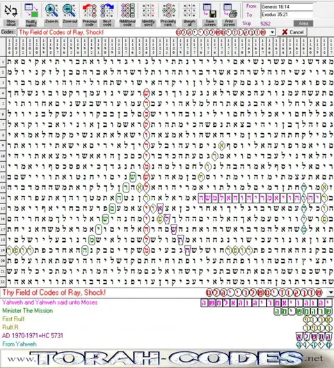 Torah Code matrix: Field of Codes of Ray, Shock