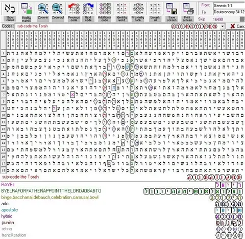 Torah Code matrix: The Torah Code