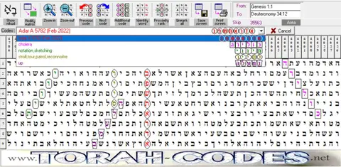 Torah Code matrix: Feb 2022