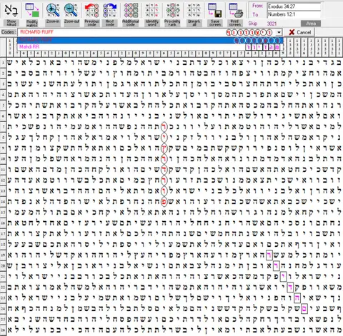 Torah Code matrix: RR