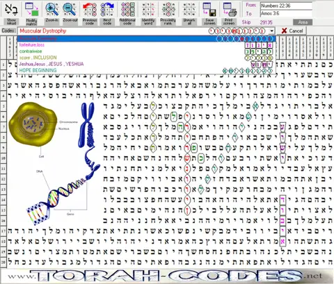 Torah Code matrix: Muscular Dystrophy