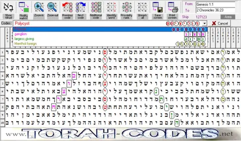 Torah Code matrix: Polycyst