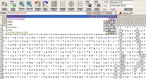 Torah Code matrix: Rayel Joel Behold