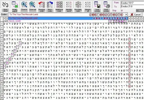 Torah Code matrix: Your the Messiah