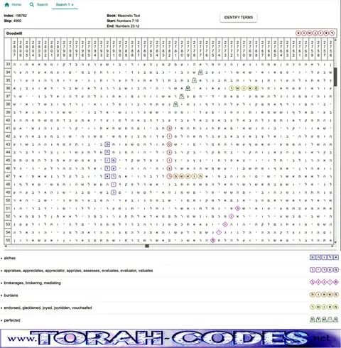 Torah Code matrix: Goodwill