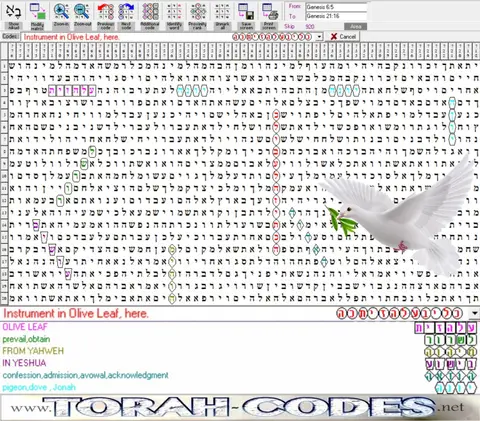 Torah Code matrix: Olive Leaf