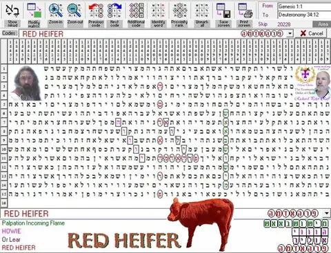 Torah Code matrix: Red Heifer