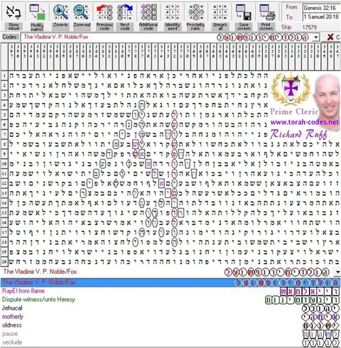 Vladimir V P
