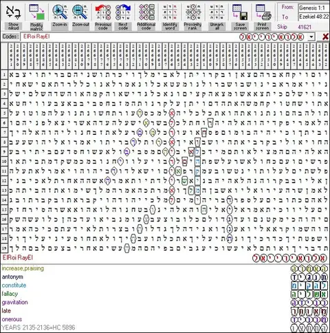 Torah Code matrix: ElRoi RayEl