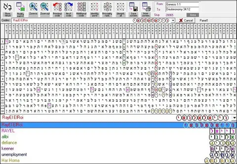 Torah Code matrix: RayEl ElRoi
