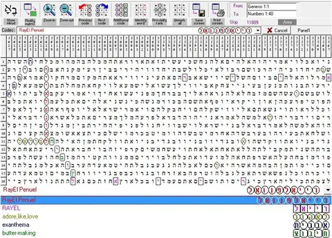 Torah Code matrix: RayEl Penuel