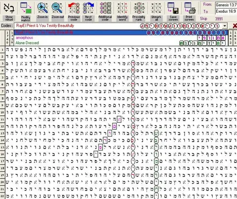 Torah Code matrix: RayEl Priest 1