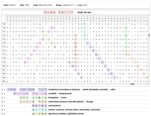 Torah Code matrix: RayEl the Skin