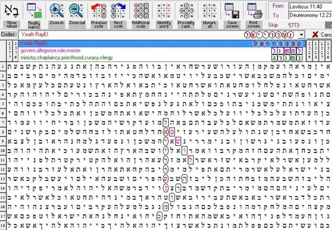 Torah Code matrix: Youth RayEl