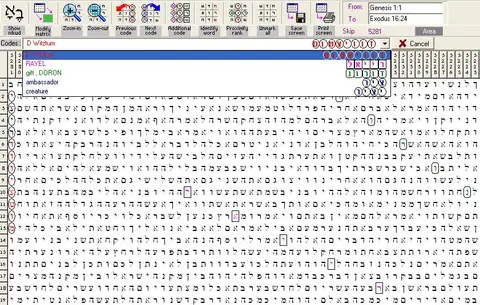 Torah Code matrix: Doron Witztum