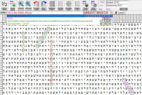 Torah Code matrix: He Is the Shiloh Moses